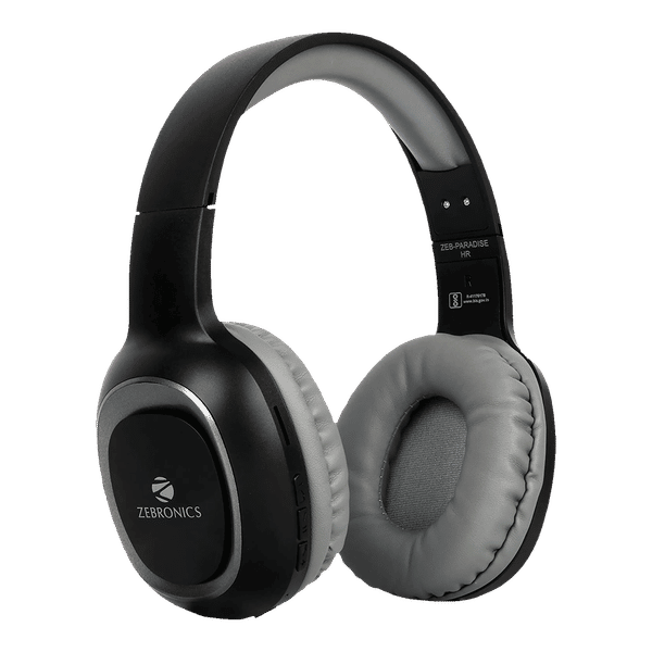 Bluetooth earphones zebronics best sale